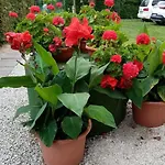 דירה Am By Interhome Balatonmáriafürdő
