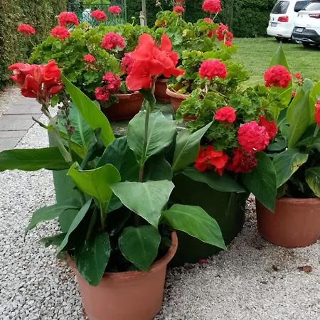 Apartment Am By Interhome Balatonmariafurdo