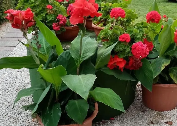 Apartment Am By Interhome Balatonmáriafürdő